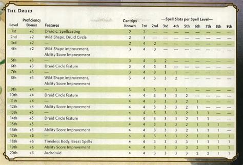 dnd 5e druid level up